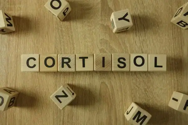 The Hidden Connection: How Stress Shapes Your Fitness and Body Composition 2 Image saying "Cortisol" and how stress Wolverhampton impacts your wellbeing and bodies shape